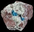Vibrant Blue Cavansite Clusters on Stilbite - India #67795-1